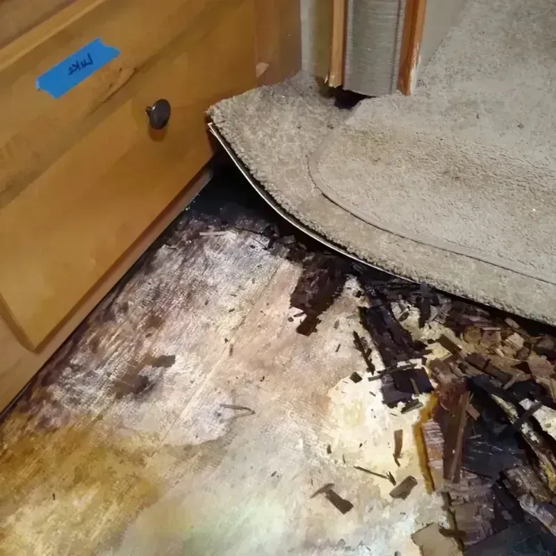 Wood Floor Water Damage in Portage, MI